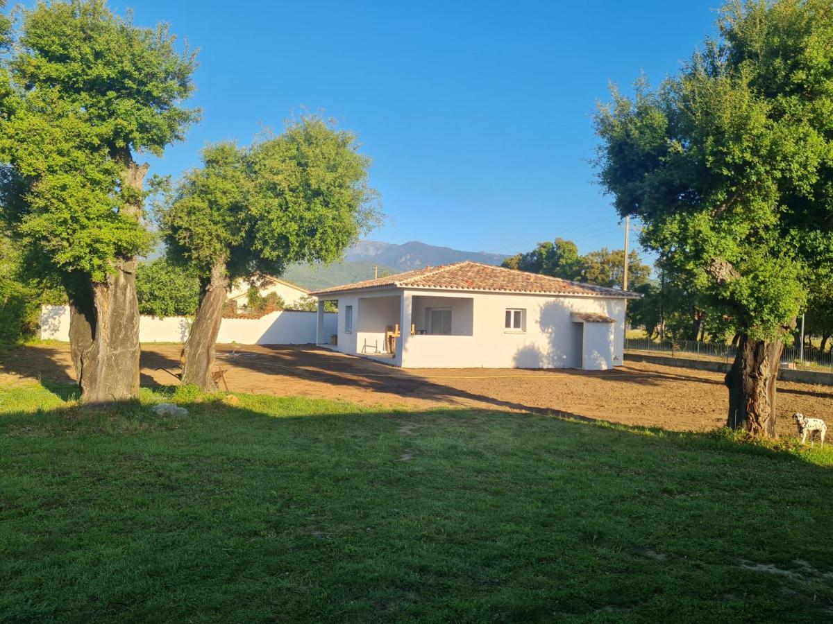 Appartamento Location Casa Monna Prunelli-di-Fiumorbo Esterno foto