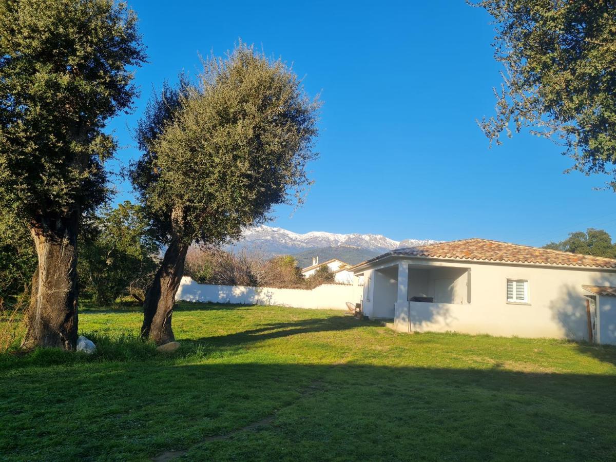 Appartamento Location Casa Monna Prunelli-di-Fiumorbo Esterno foto